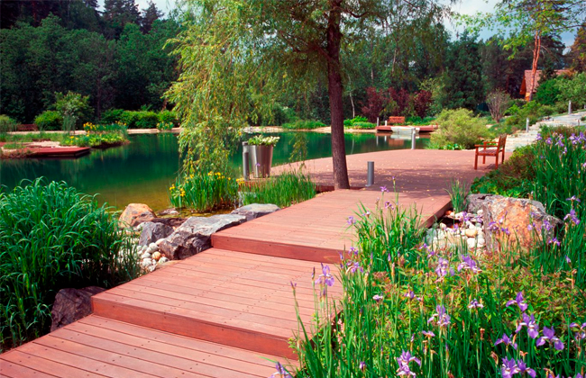 Горки-2. Пруды и ручьи, изображение