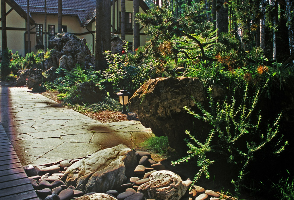 Частный сад. Посёлок Грибово, изображение