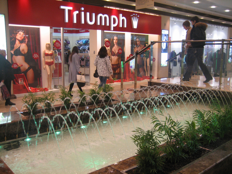 Воронеж Галерея Чижова