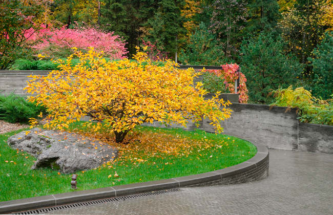 Частный сад. Посёлок Барвиха, изображение