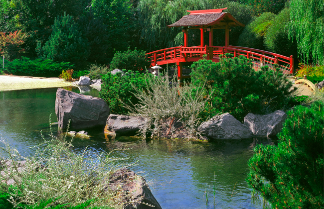 Остров черепахи, изображение