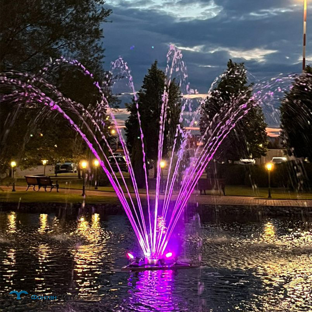 Плавающий фонтан "Аэропорт Внуково-3", изображение