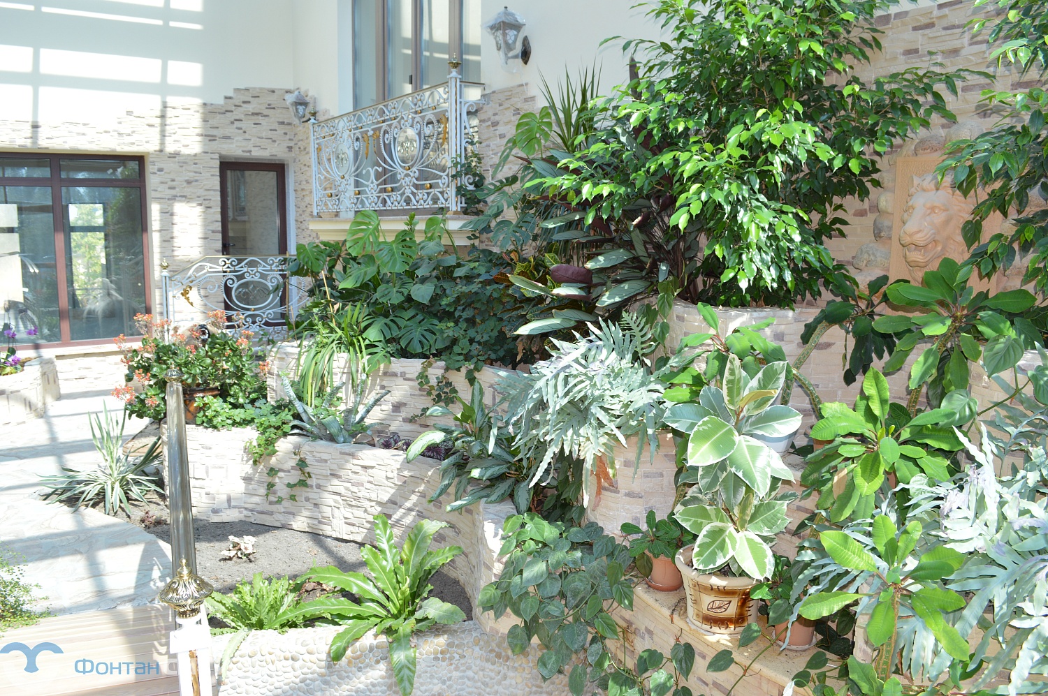 Зимний сад в г. Клин