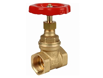 Задвижка муфтовая FC, изображение