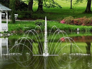 Плавающий фонтан "Павлин", изображение