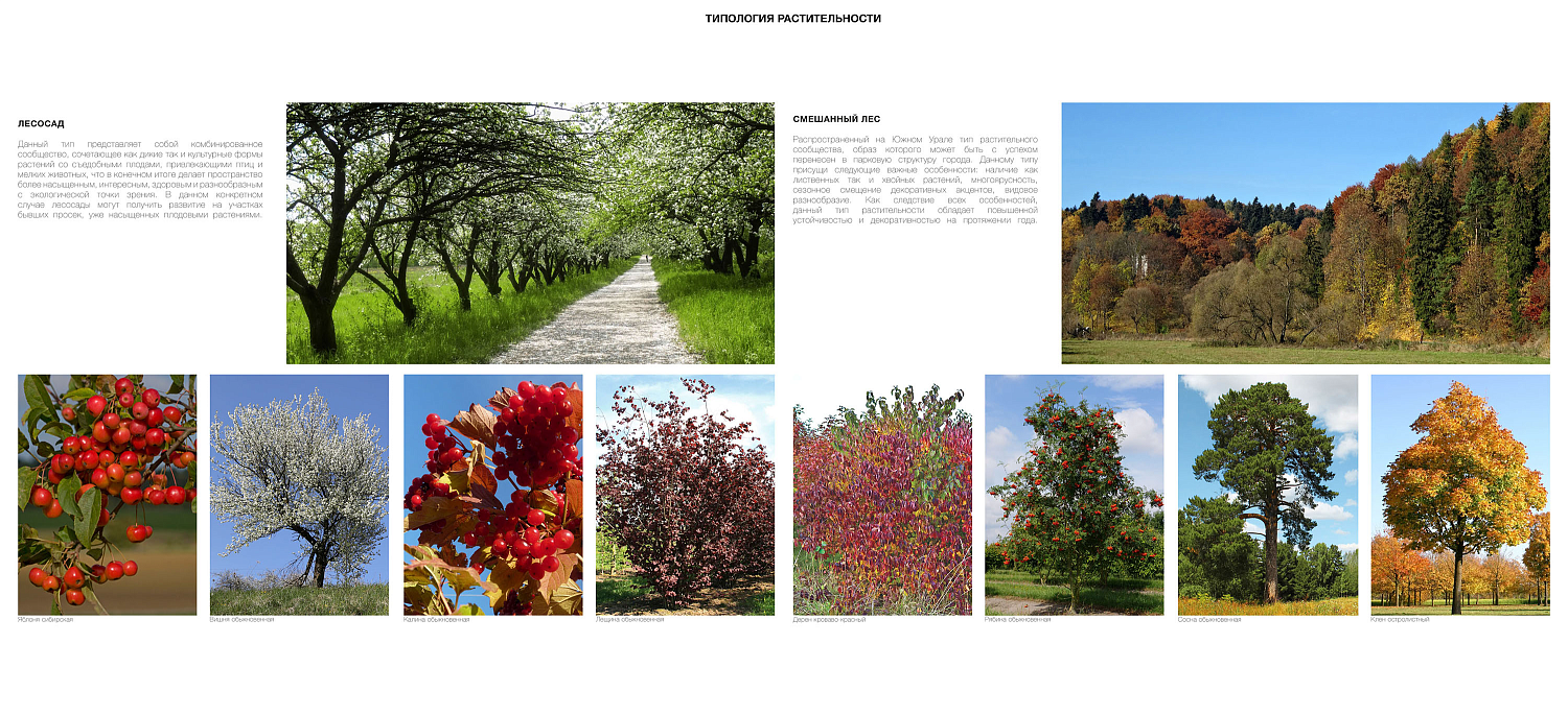 Проект развития городского пространства «Притяжение» в Магнитогорске.